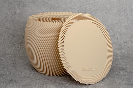 シェフレラ・アルボリコラ 曲がり 8号｜一点限り｜観葉植物販売 mamidori