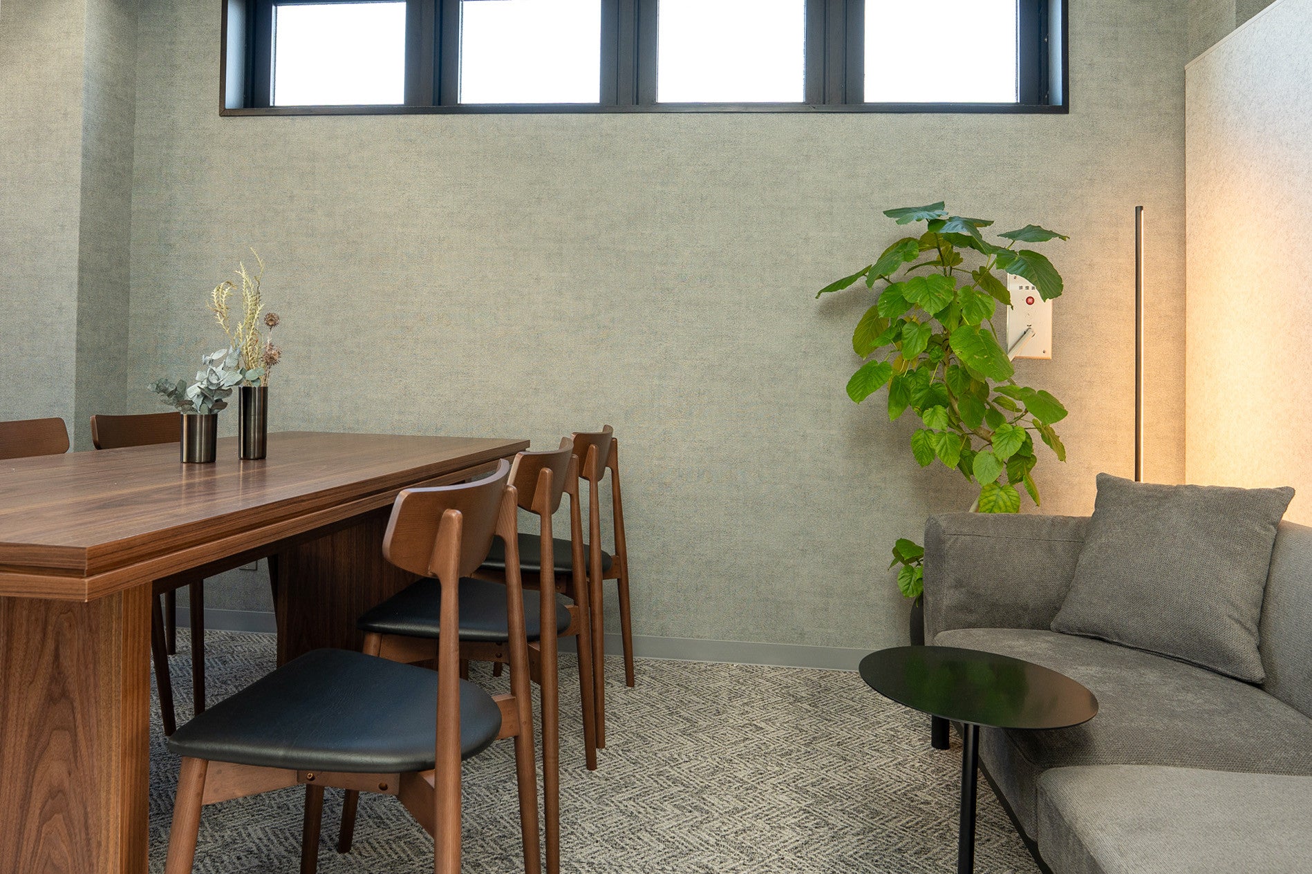 鉢セット販売]サトイモ科3種_paradise (1点限り) – mamidori