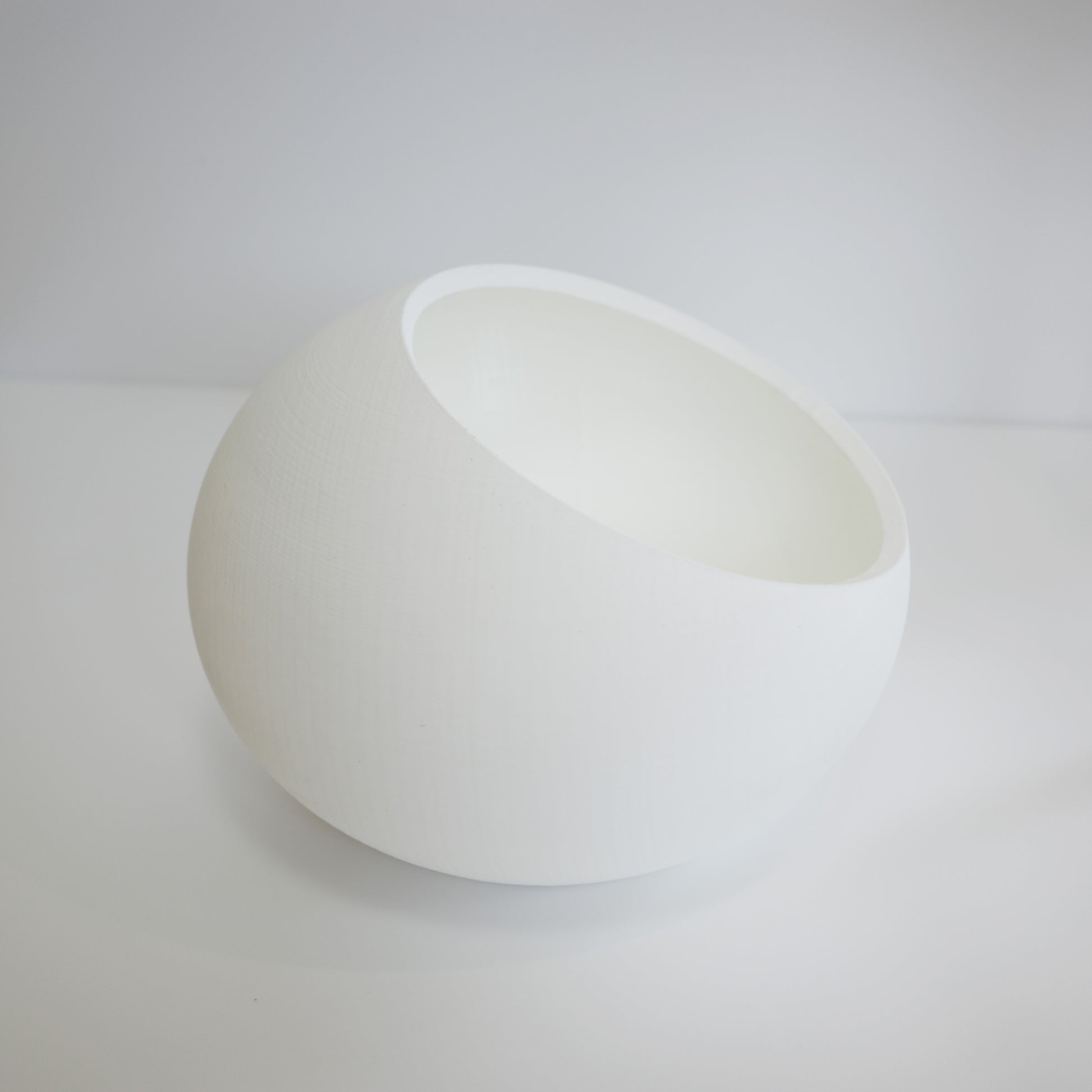 Bird Egg