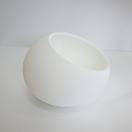 Bird Egg