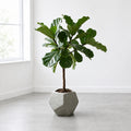 FACET ~Soil Planter~｜4号 / 6号/ 8号 サイズ