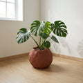 SWELL ~Soil Planter~｜6号/ 8号 サイズ