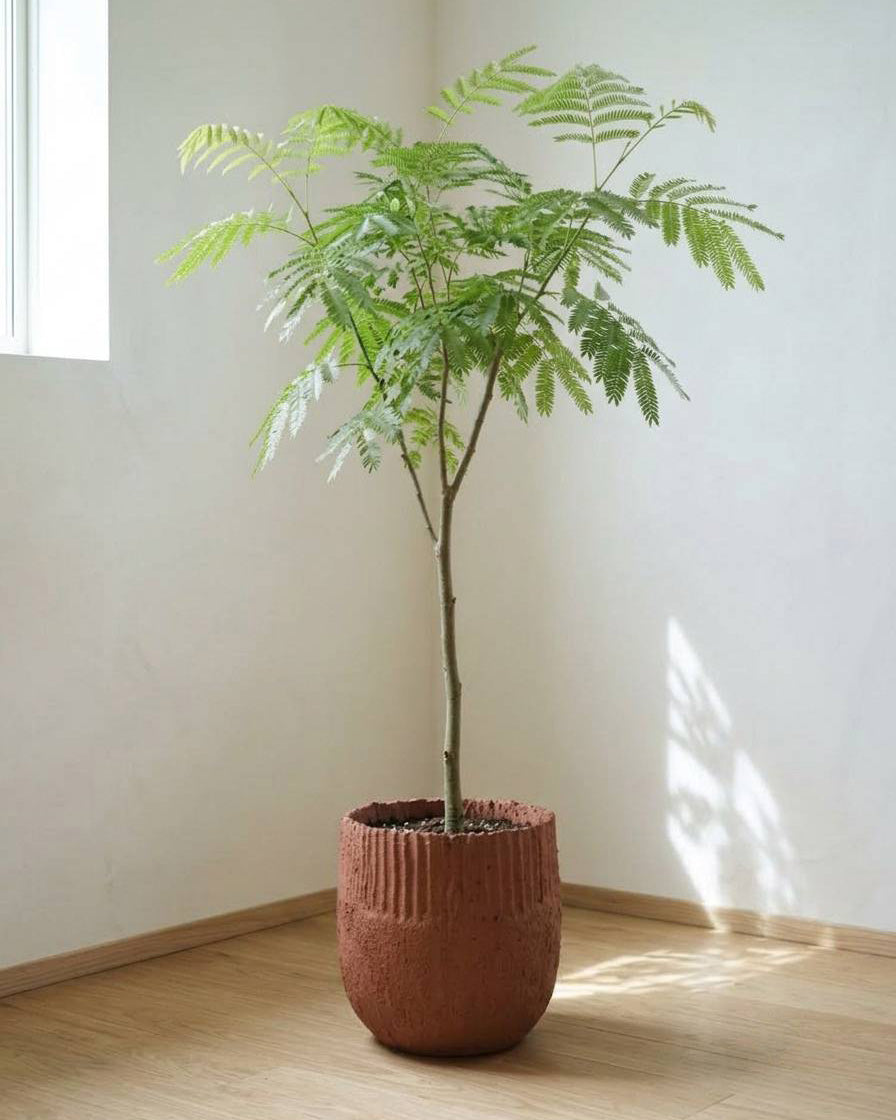 GROW ~Soil Planter~