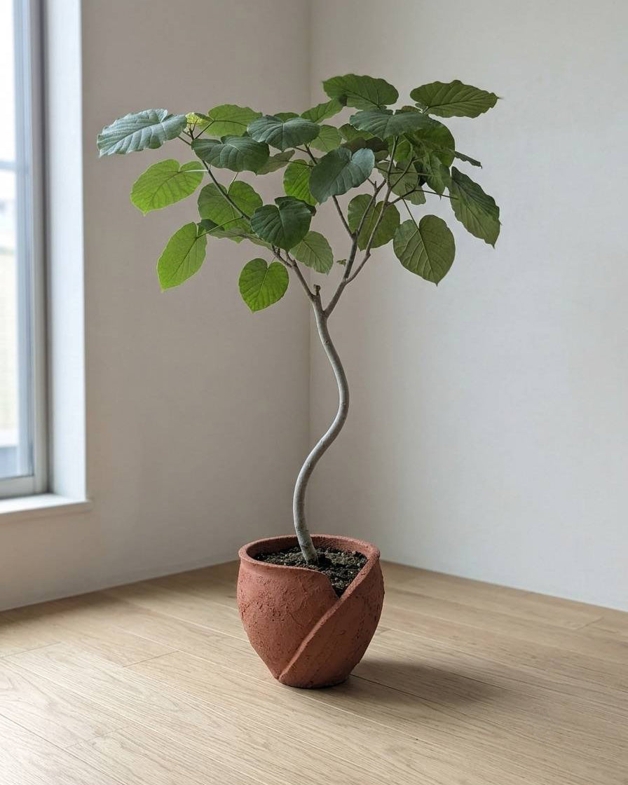 FOLD ~Soil Planter~
