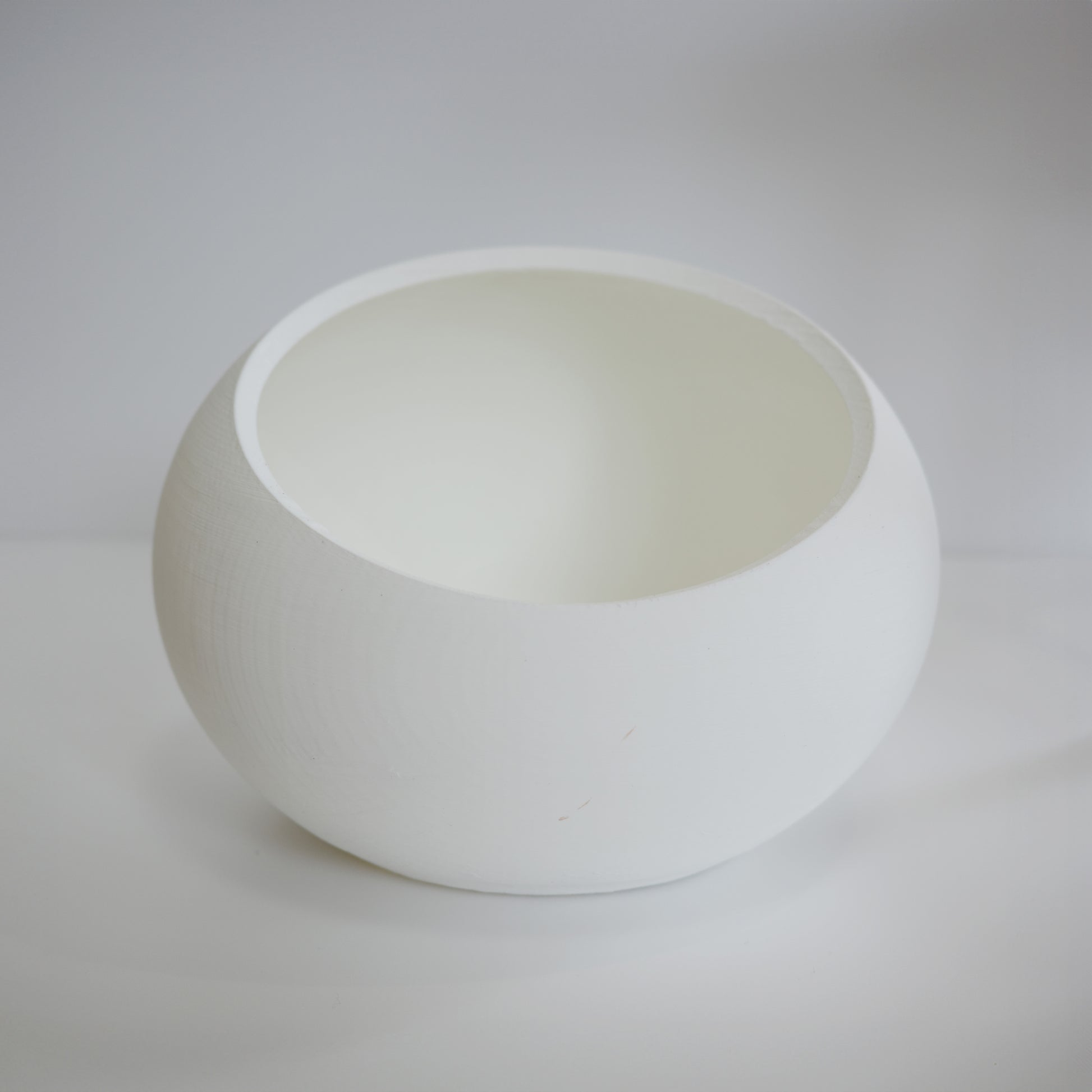 Bird Egg