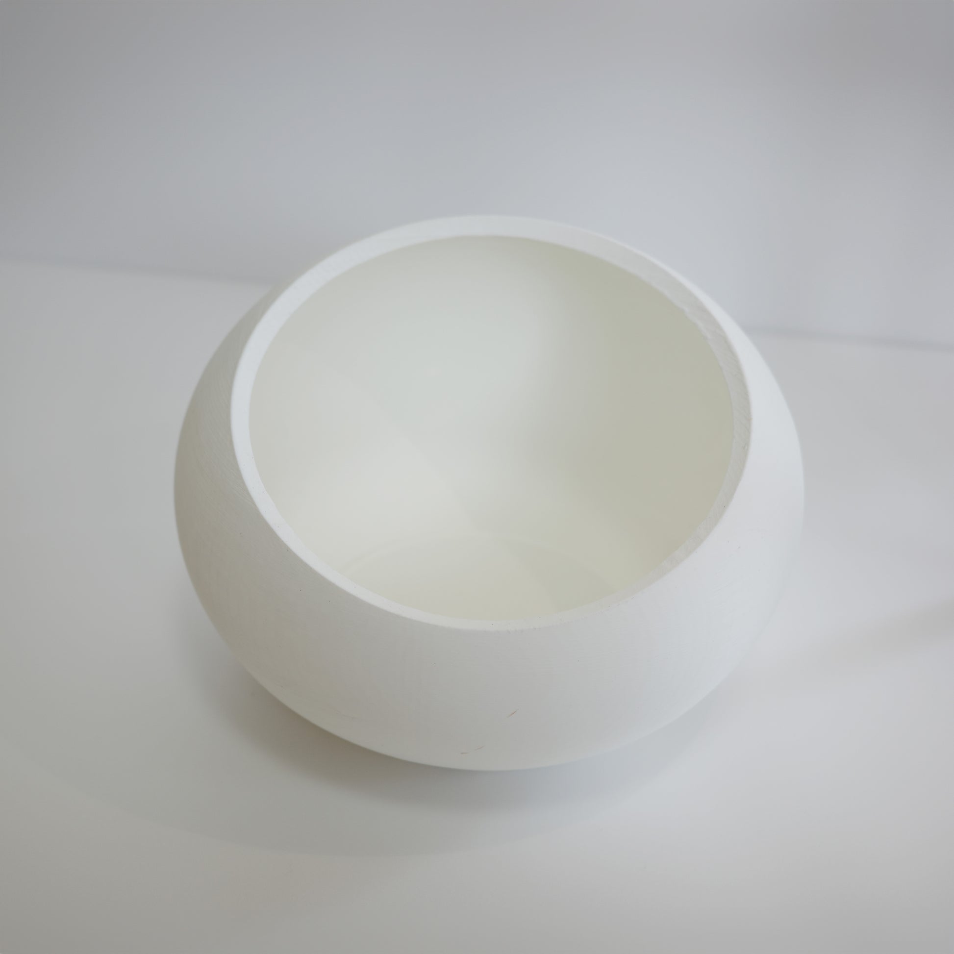 Bird Egg