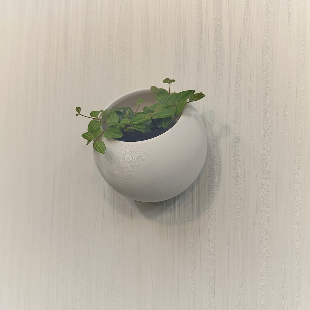 Hanging Planter Egg