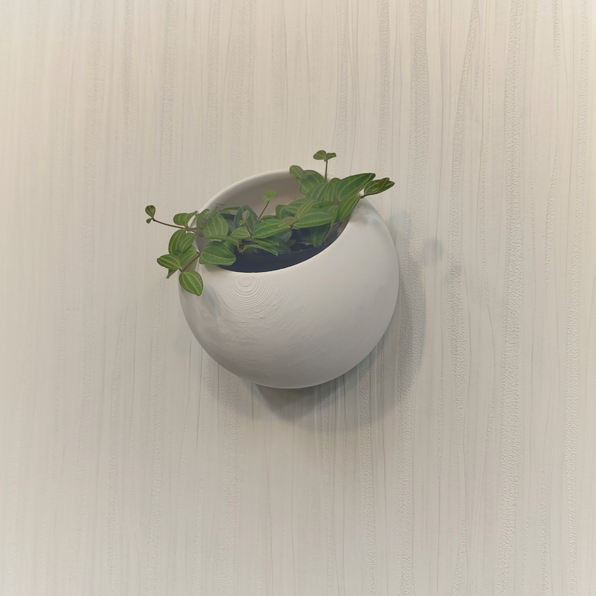 Hanging Planter Egg