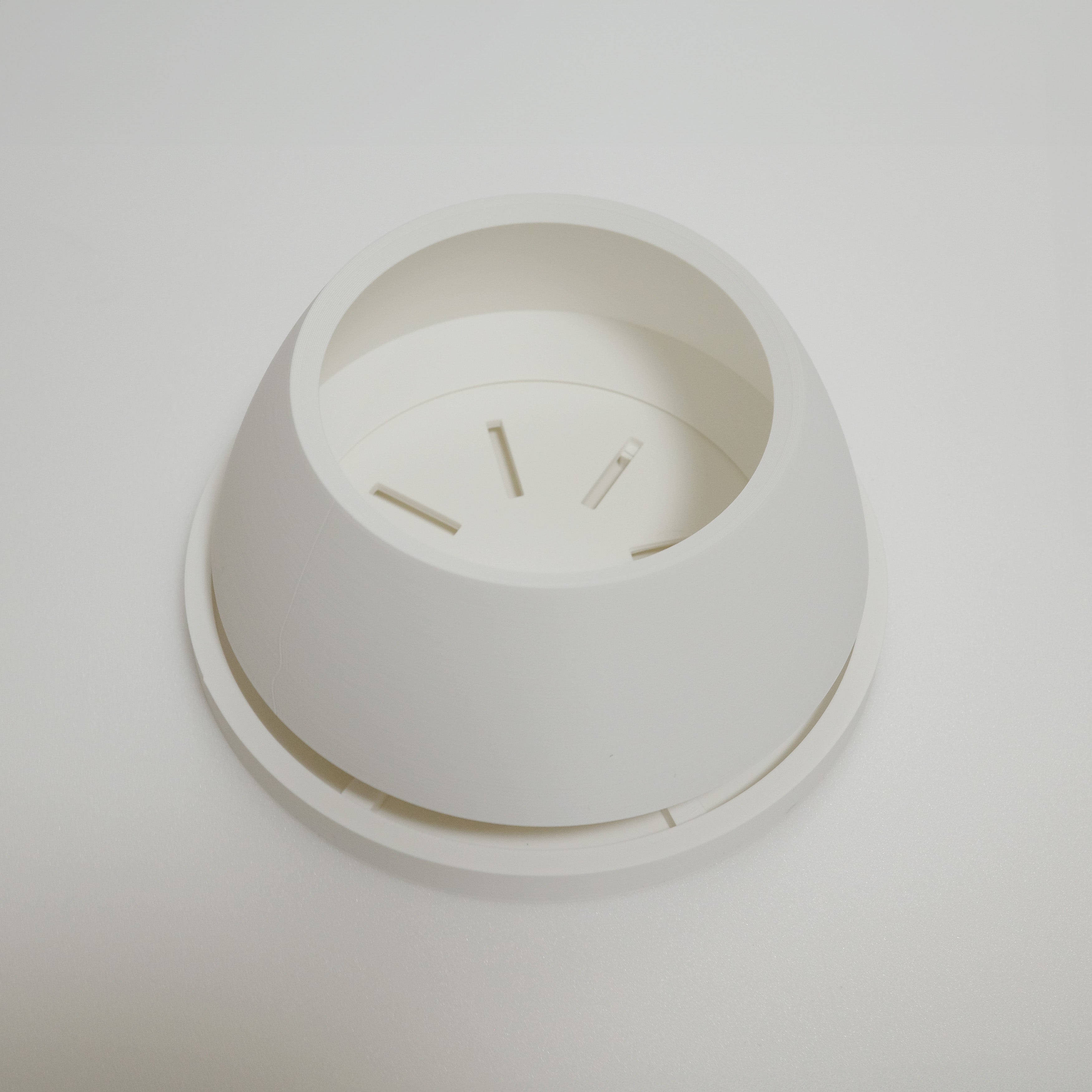 フィカス・ベンジャミン・スターライト 7号｜一点限り｜観葉植物販売