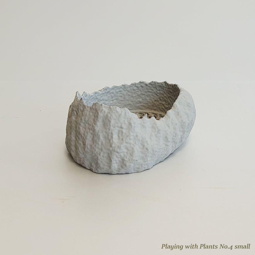 Playing with Plants No.4