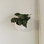 Hanging Planter Rock