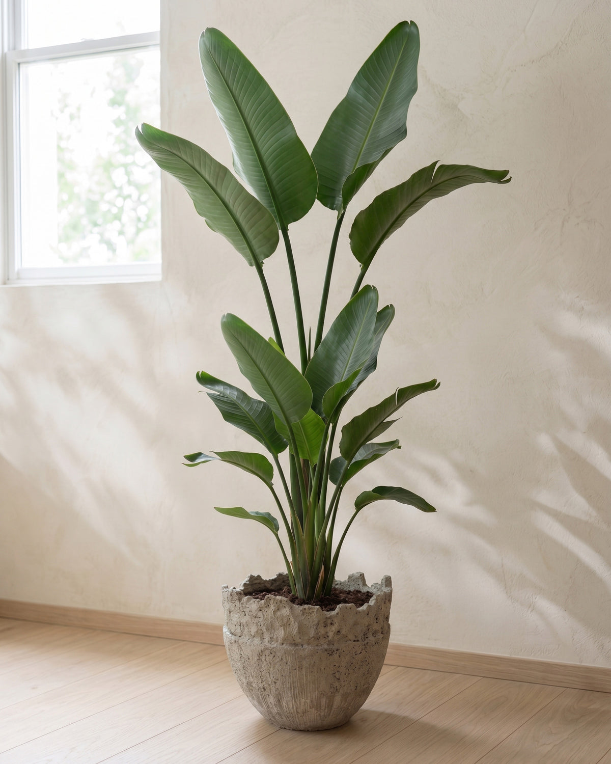 ERODE ~Soil Planter~