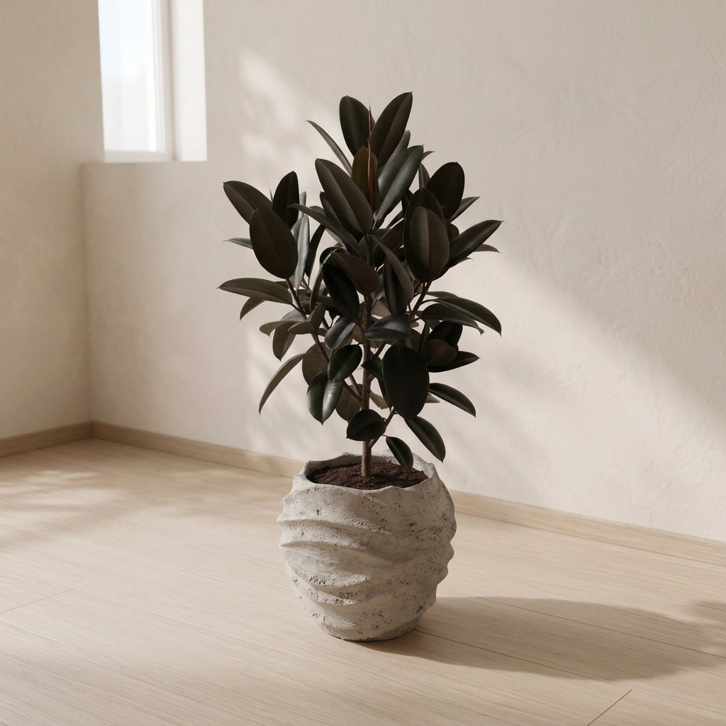 WAVE ~Soil Planter~｜4号 / 6号/ 8号 サイズ