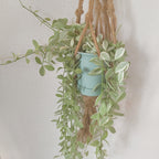 ディスキディア