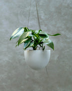 ハンギングプランター