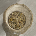 [鉢セット販売]Soil Totem_フィロデンロドン・リングオブファイヤー+オキソカルジューム(1点限り)